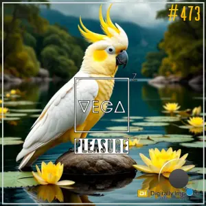 Vega Z - Pleasure 473 (2026-03-04)