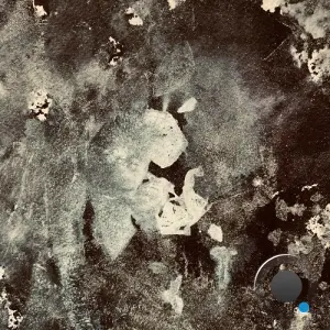 Trismus - A Walk in The Concrete Field (2026)