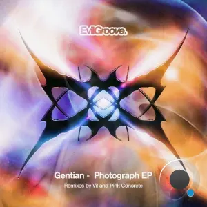 Gentian - Photograph (2026)