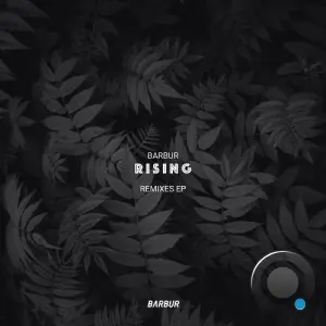 Barbur - Rising Remixes (2026)
