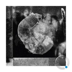 Obscur - Vicious (2026)