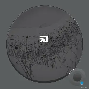 Dyb Mørk - Curves (2026)