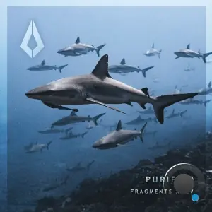 Sezer Uysal, Bolth - Purified Fragments XXXV (2026)