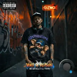 MC Article & DJ Views - Voice Of Reason (2026)