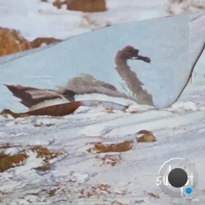 Van Der - Midnight Zen (2026)