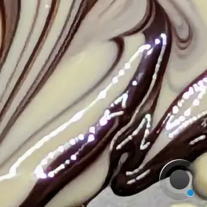 Cat Can Do - Maryam's House (2026)