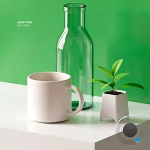 Adoption - Chutney (2026)