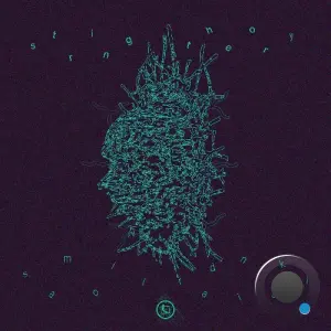 Samoil Radinski - String Theory (2026)