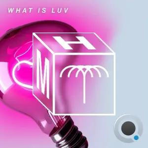 Rafael & Mita Gami - What Is Luv (2026)