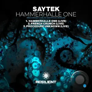 Saytek - Hammerhalle One (Recorded Live At Sisyphos Berlin) (2026)