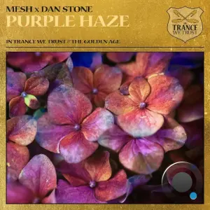 Mesh X Dan Stone - Purple Haze (2026)