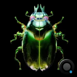 GRRL - Beetle (2026)