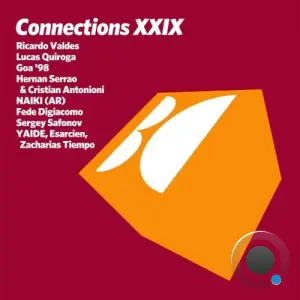 Connections, Vol. XXIX (2026)