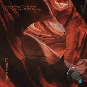 Analog Sense, Tom Pavicich - Cardamom (2026)