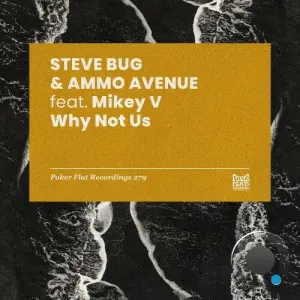 Steve Bug, Ammo Avenue - Why Not Us (2026)