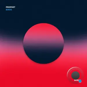 Prophet - Birds (2026)