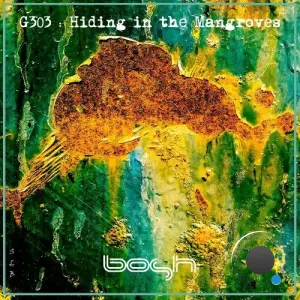 G303 - Hiding in the Mangroves (2026)
