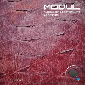 Eddy D' Amato & Tim Kollberg - No Control (2026)