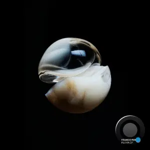 Franco Rossi - Pluvia (2026)