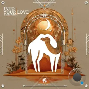 David Petros & Cafe De Anatolia - Into Your Love (2026)