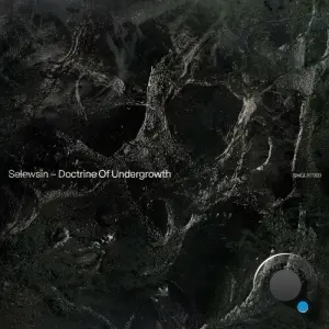 Selewsin - Doctrine Of Undergrowth (2026)