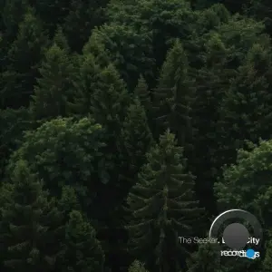 Dove City - The Seeker (2026)