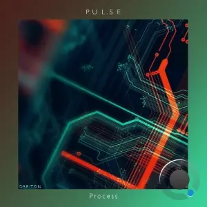 P.U.L.S.E - Process (2026)