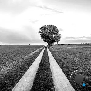 Gunnar Zander - Pampin (2026)