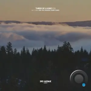 Facucio - Three of a Kind #38 (2026)