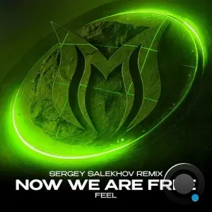 Feel - Now We Are Free (Sergey Salekhov Extended Remix) (2026)