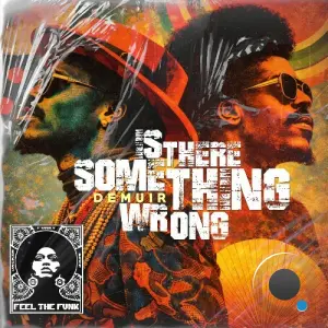 Demuir - Is There Something Wrong (2026)