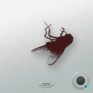 Damne - Leather Bullet (2026)