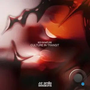 Boy In Nature - Culture In Transit (2026)