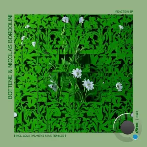 Bottene, Nicolas Bordolini - Reaction (Incl. Lola Palmer & Ki.Mi. Remixes) (2026)