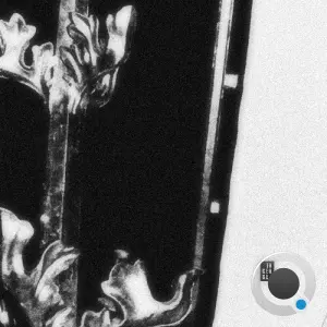 KNTZ - Cicatrization (2026)