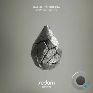 Gallo. ft. Bukeka - Strange Feeling (2026)