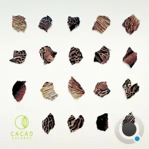 Leo Leonski & Shoao - Acid Gato (2026)