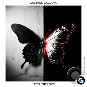 Gaetano Zaccone - I Feel the Love (2026)