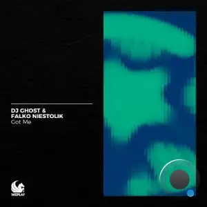 DJ Ghost & Falko Niestolik - Got Me (2026)
