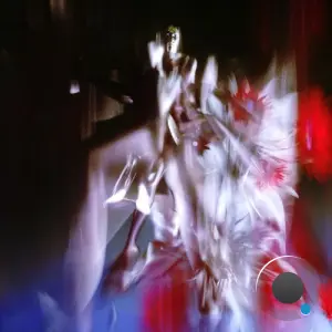 Polygonia - Ceaseless Motion (2026)