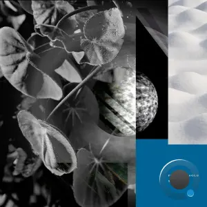 Piero Ceraolo - Returm (2026)