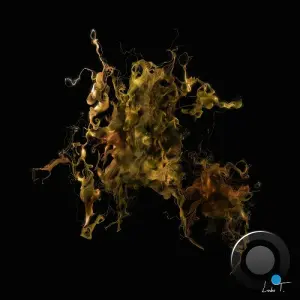 Ceas - Hidden Frequency (2026)