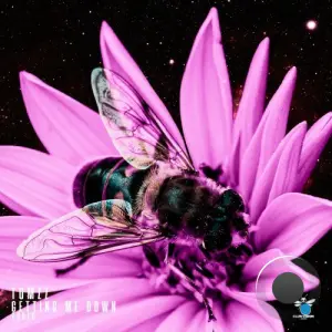 Tumzz - Getting Me Down (2026)