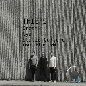 Thiefs x Mike Ladd - Static Culture (2026)