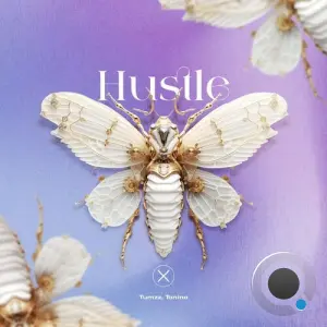 Tonino & Tumzz - Hustle (2026)
