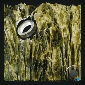 Schott - Foundation Series (2026)