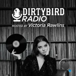 Wet Velvet - Dirtybird Radio 529 (2026-03-30)