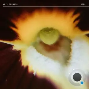 TECH038 Pt. 1 (TECH0381) (2026)