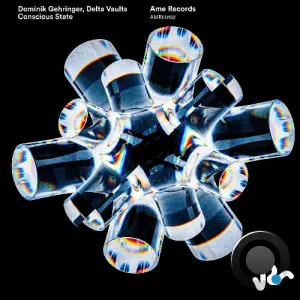 Dominik Gehringer, Delta Vaults - Conscious State (2026)