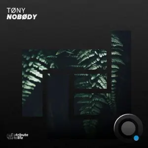 Tony - Nobody (2026)